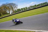 enduro-digital-images;event-digital-images;eventdigitalimages;mallory-park;mallory-park-photographs;mallory-park-trackday;mallory-park-trackday-photographs;no-limits-trackdays;peter-wileman-photography;racing-digital-images;trackday-digital-images;trackday-photos